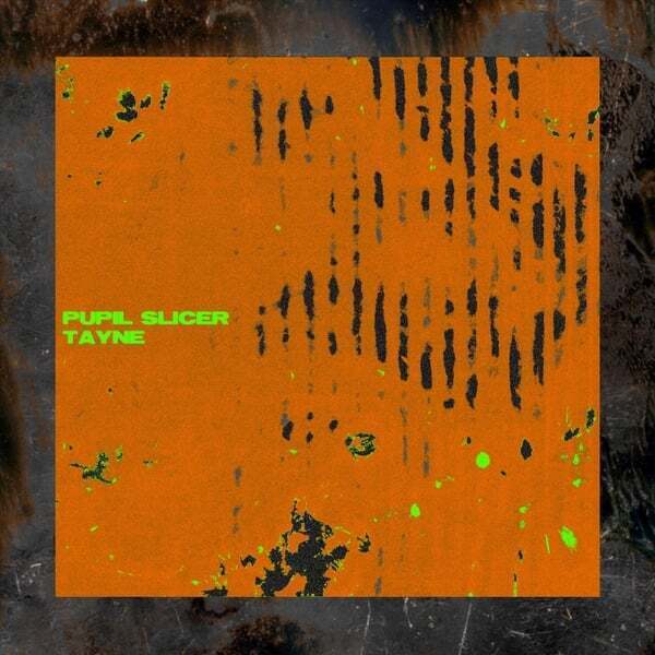 Cover art for Pupil Slicer & Tayne